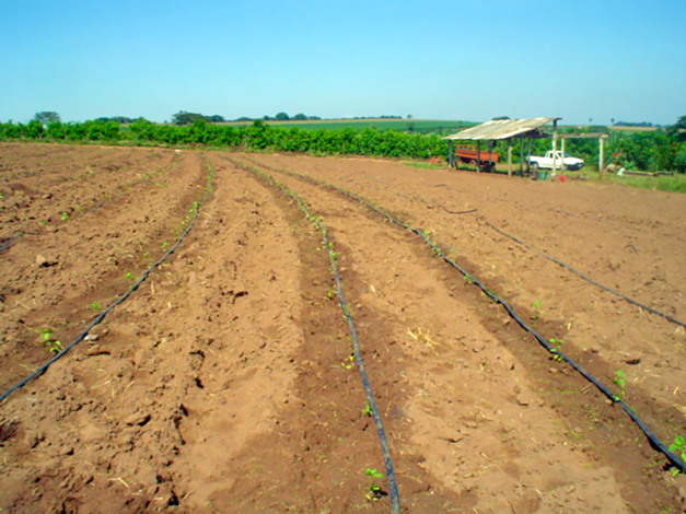 calcário irrigação