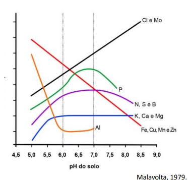 Micronutrientes