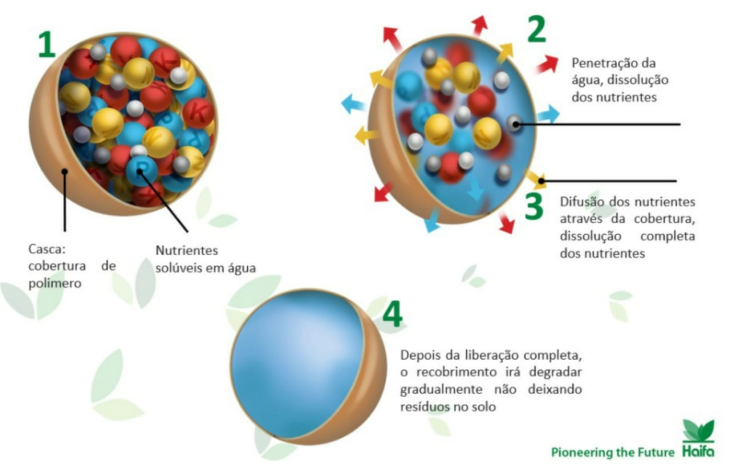 Adubos de Liberação Controlada