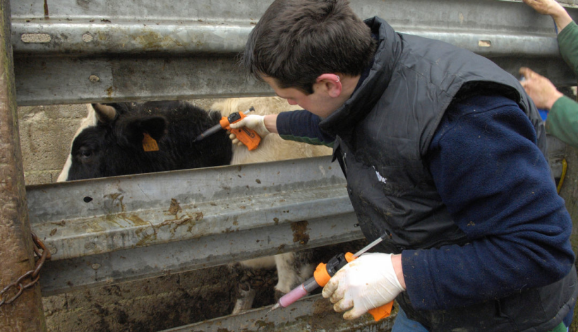 Produção de Leite na Estiagem