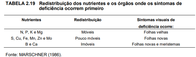 Adubar Sem Incorporar