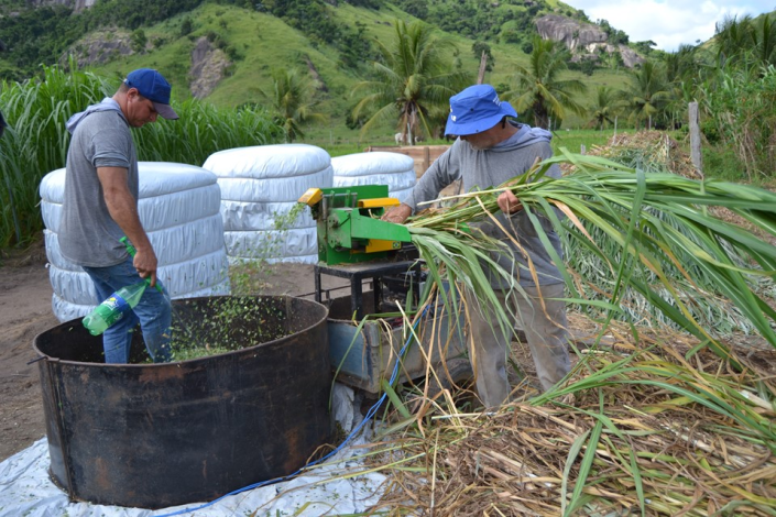 moagem de cana-de-açúcar na alimentação