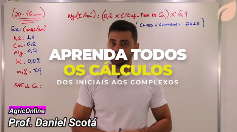 adubação do morango