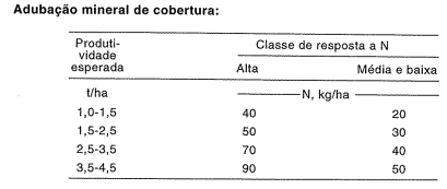 Como fazer a adubação do feijão