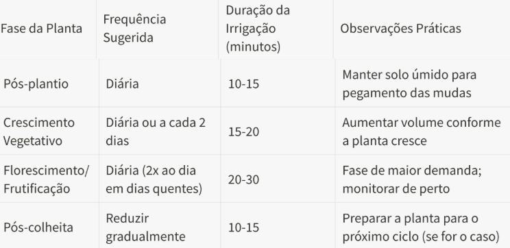 Irrigação no morango