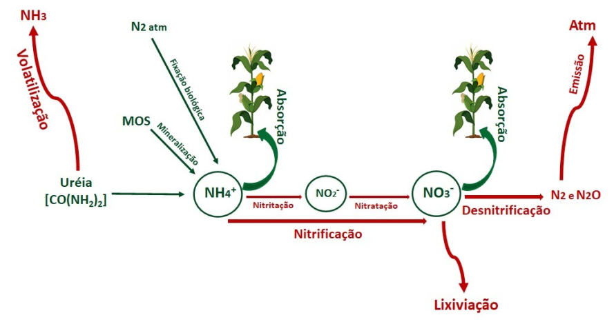 Adubar Sem Incorporar