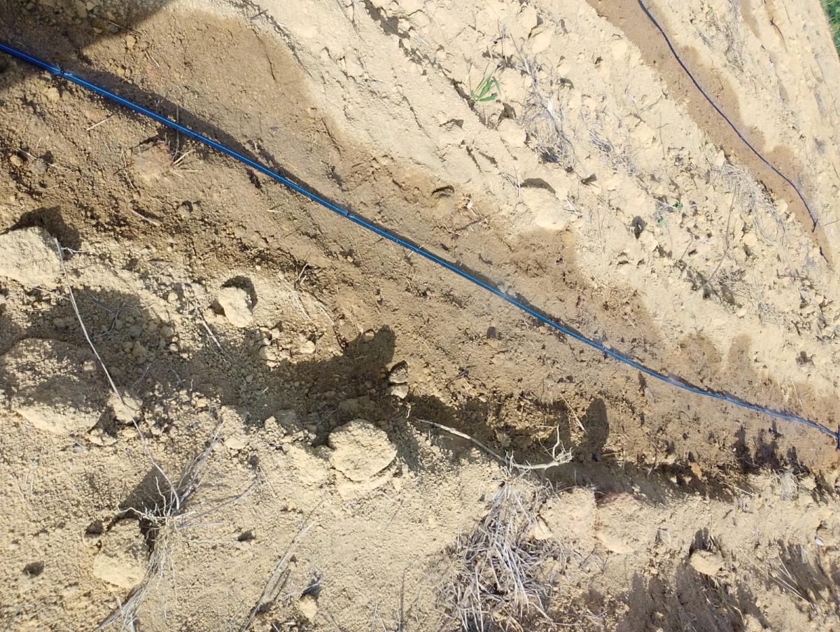 calcário irrigação