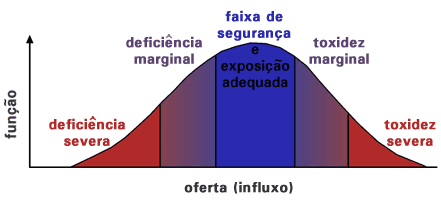 saúde dos cascos de cavalos