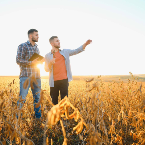 Assistência Técnica Rural 