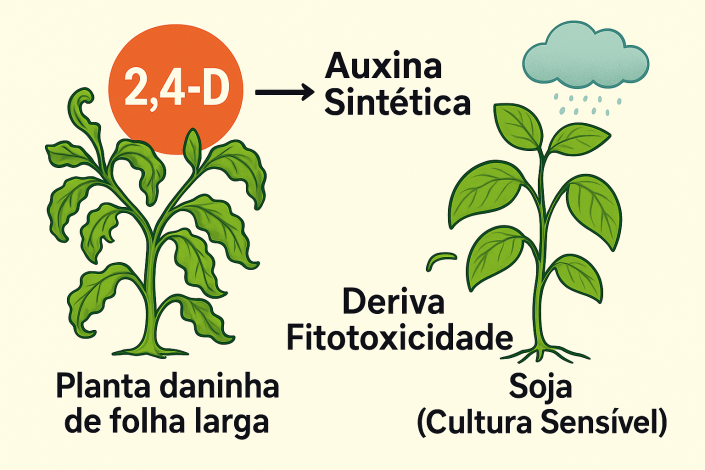 Herbicida 24D