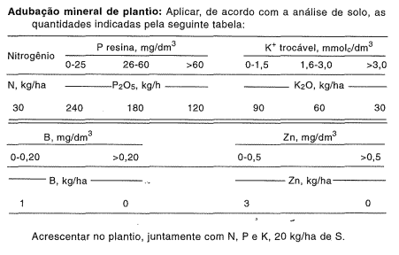 Como fazer a adubação da melancia