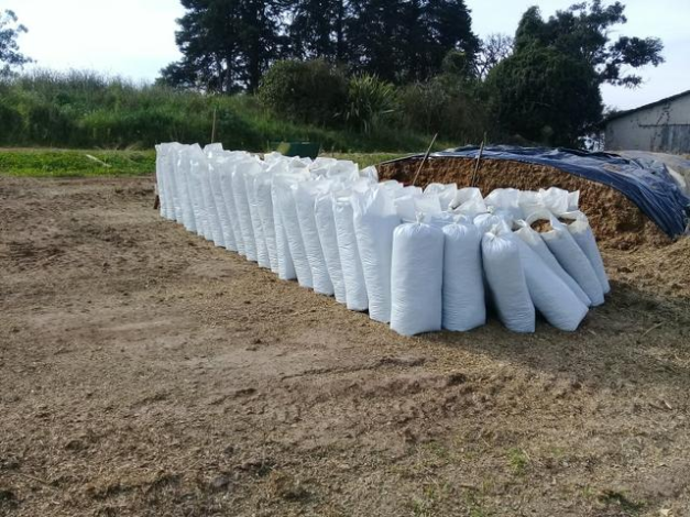 Produção de Leite na Estiagem