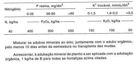 Aprenda produzir rúcula