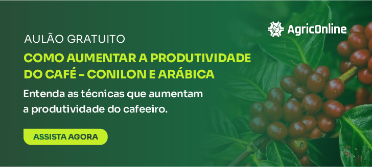 CAFÉ CONILON em dias quentes