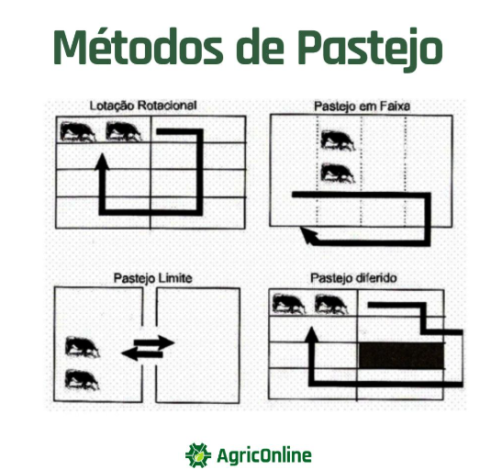Produção de Leite na Estiagem