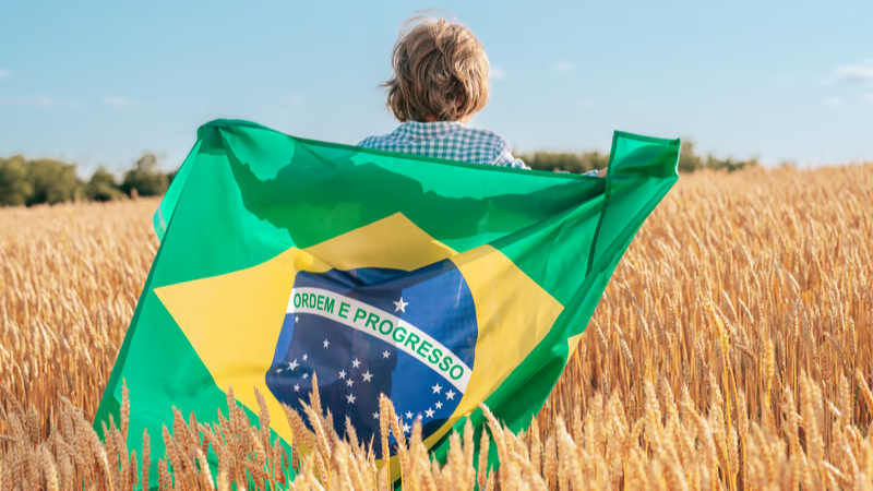 grãos