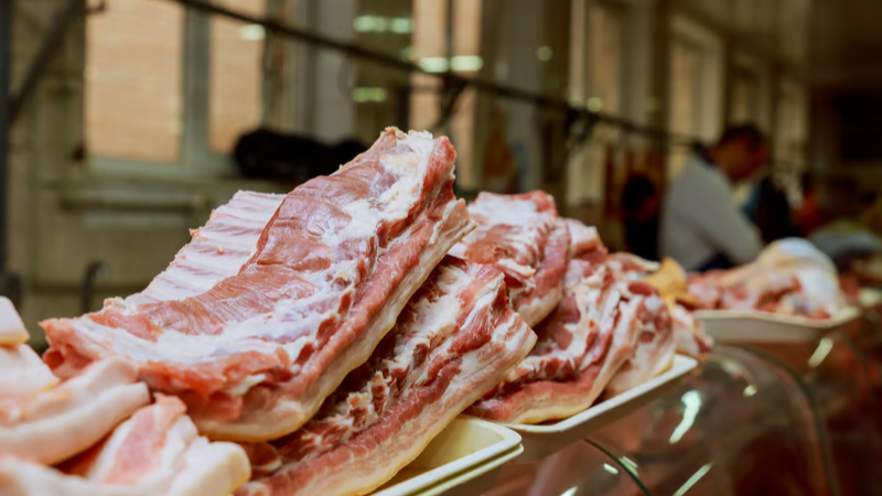 carnes 