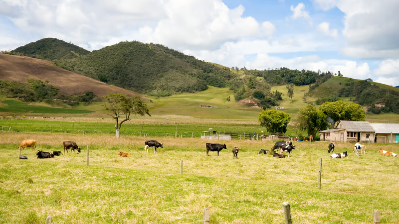Crédito rural