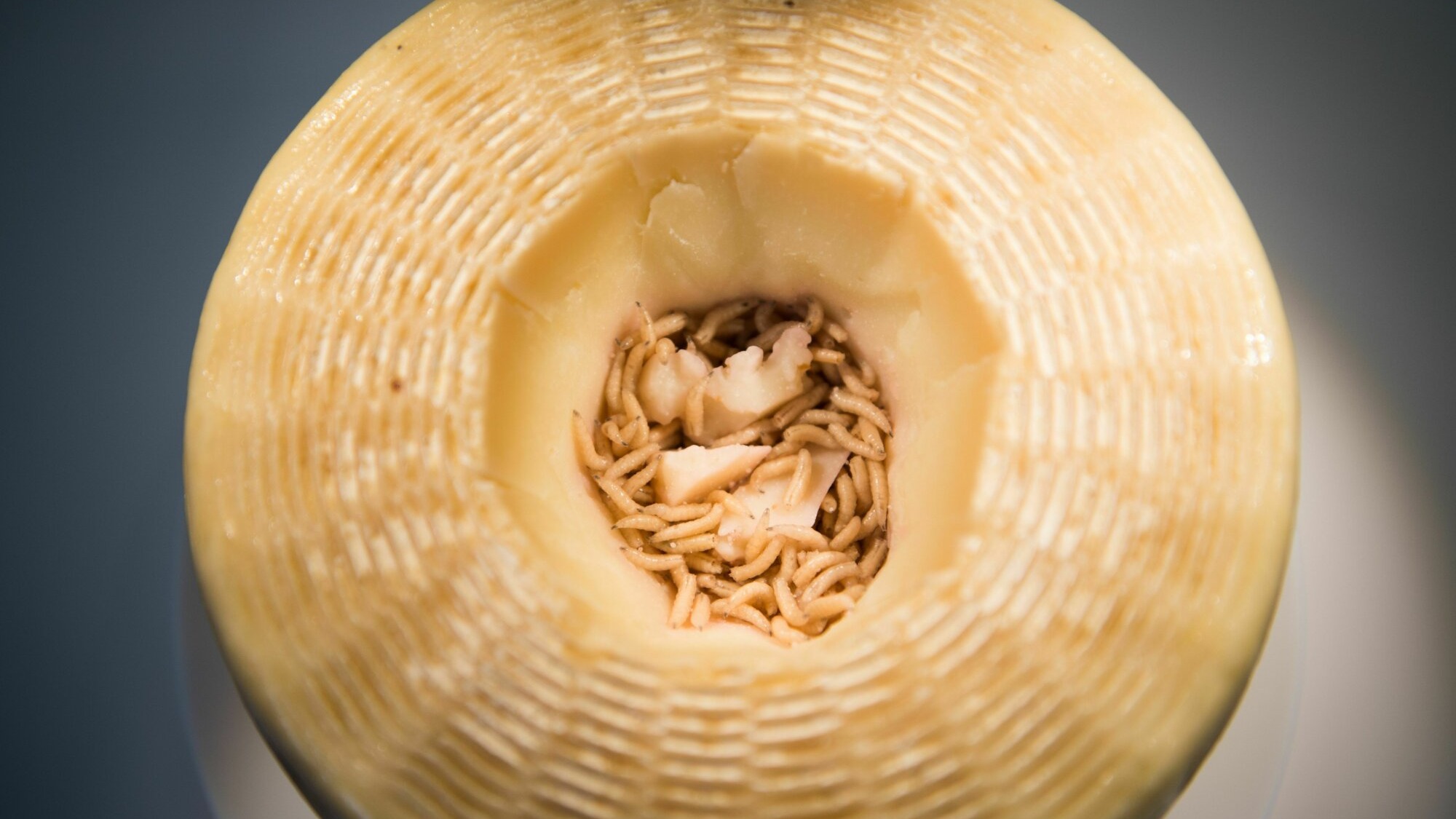 queijo proibido