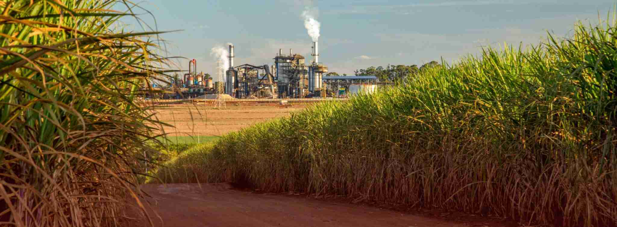 Parâmetros de Qualidade da Cana-de-açúcar