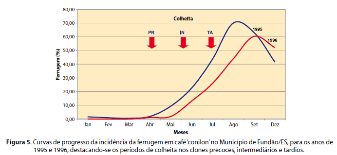 5 maneiras de combater os nematoides na soja