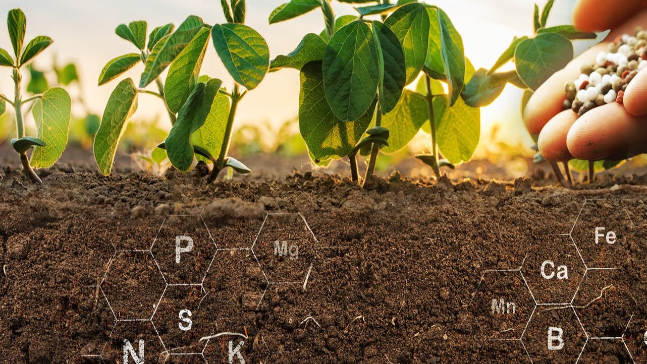 Calculo de Adubação por Extração de Nutrientes