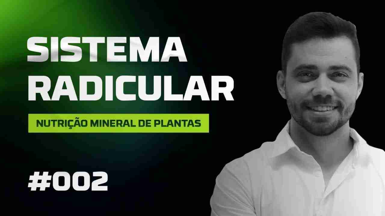 Nutrição mineral de plantas: Sistema radicular