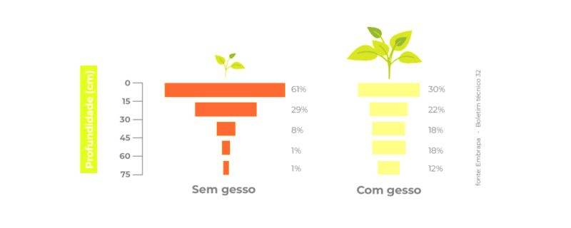 Entenda: Gesso agrícola precisa de  incorporação?