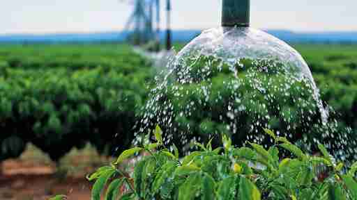 Manejo da Irrigação na Cultura do Café