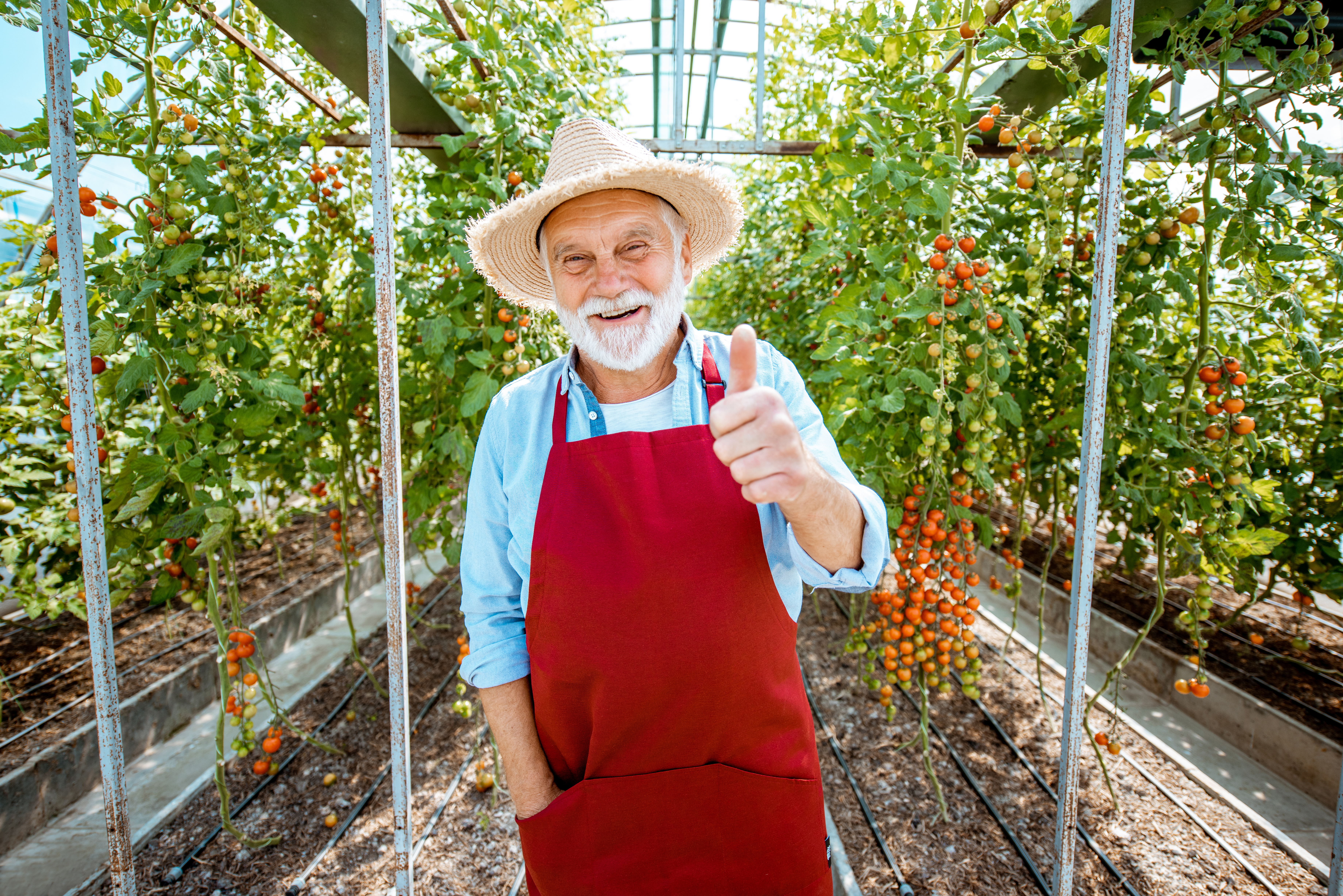 O Pronaf como instrumento de fixação do agricultor familiar no campo, evitando o êxodo rural