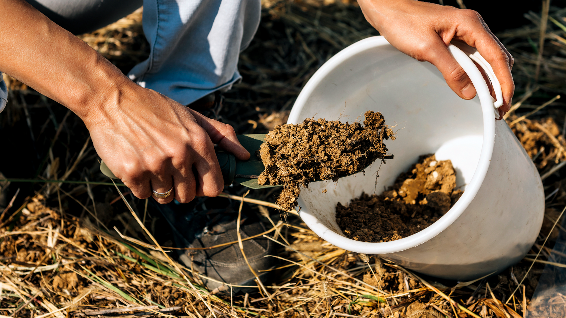 ADUBAÇÃO ORGÂNICA: Maximizando o Potencial do Solo