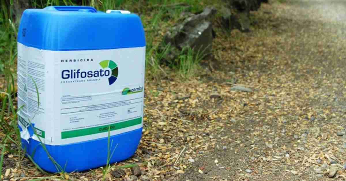 Tudo o que você precisa saber sobre o glifosato na agricultura