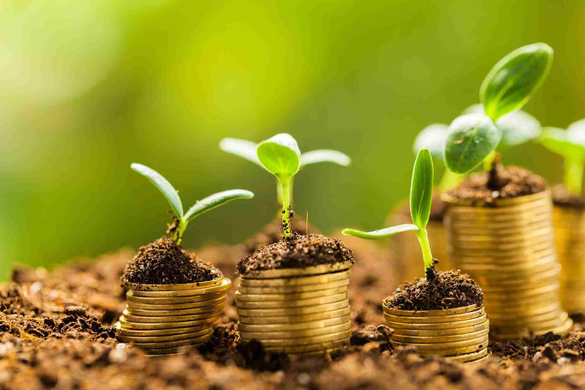 Introdução ao Crédito Rural