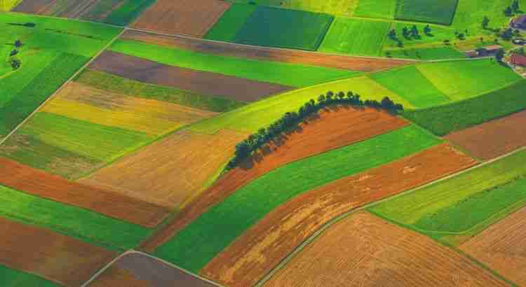Agropecuária, Meio Ambiente e o Papel dos Instrumentos Financeiros