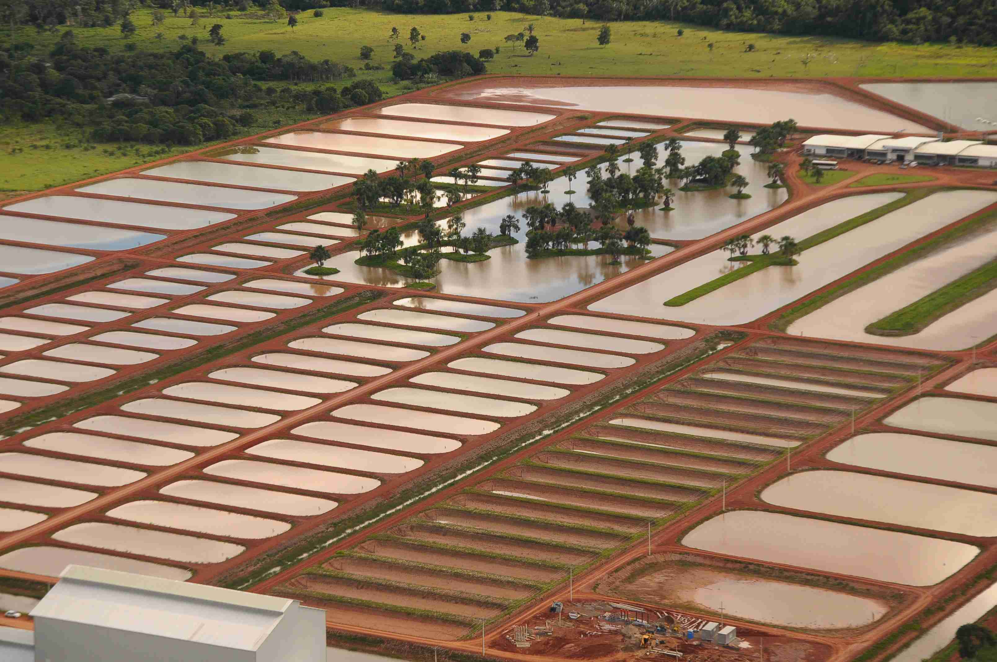 Processos que Ocorrem nas Águas de Viveiros em Piscicultura