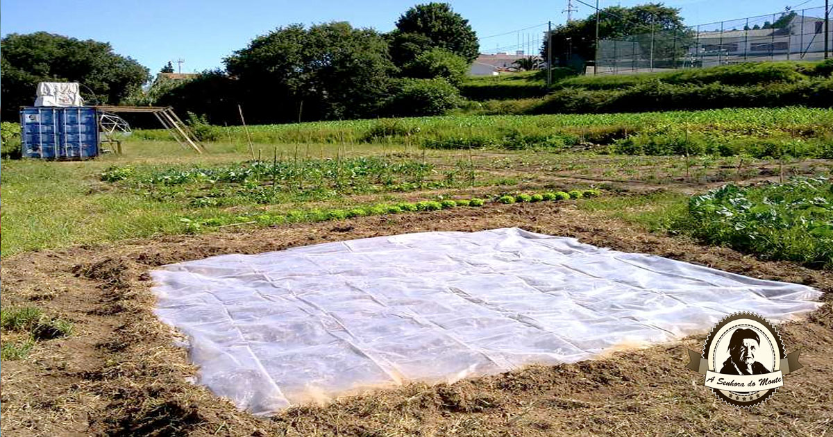 Controle Integrado da Tiririca em Pastagens e Lavouras