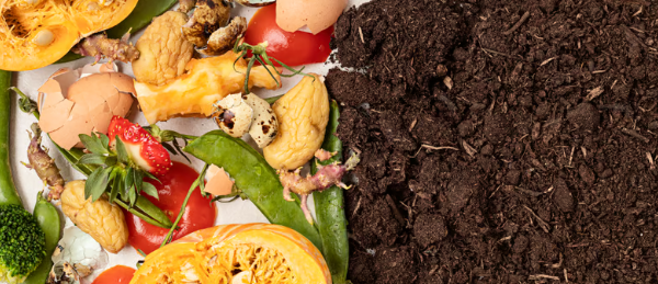 Relação C/N e sua Importância na Compostagem