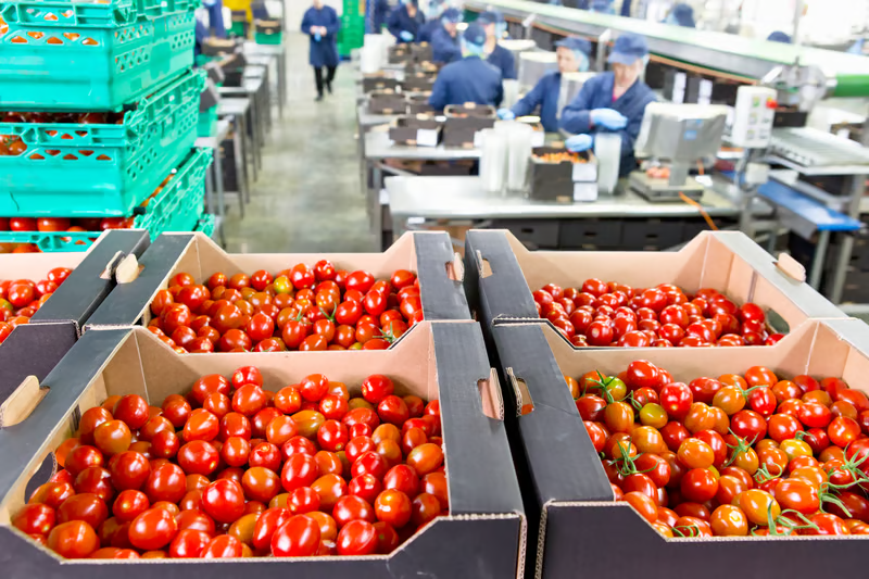 Agro exporta mais, mas pode ganhar menos