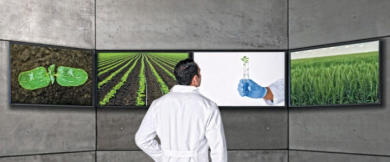 Como Escolher o Melhor Emprego como Técnico em Agropecuária