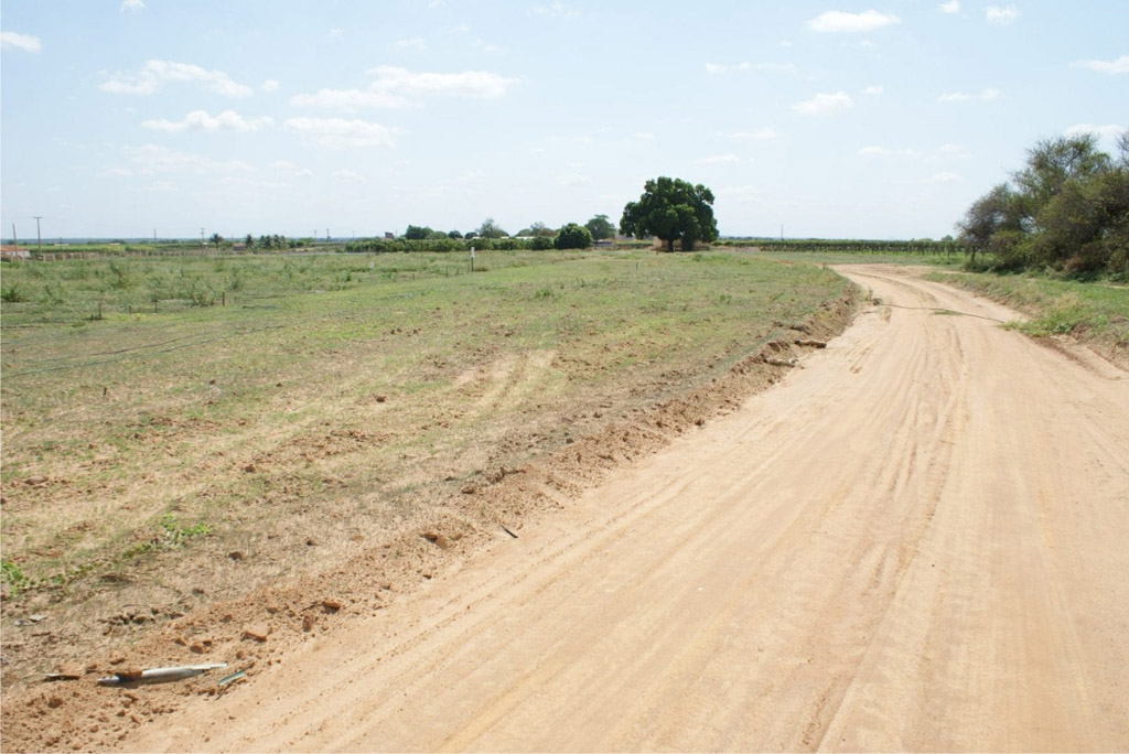 Como melhorar as condições de solos extremamente arenosos para cultivo?