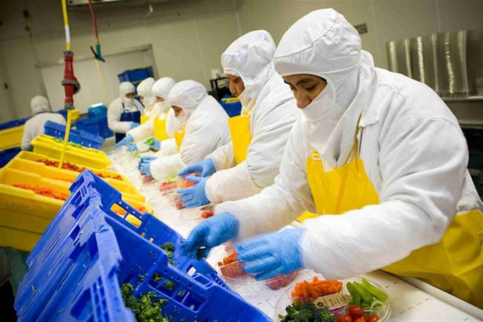 Tipos de Processamentos de Hortaliças