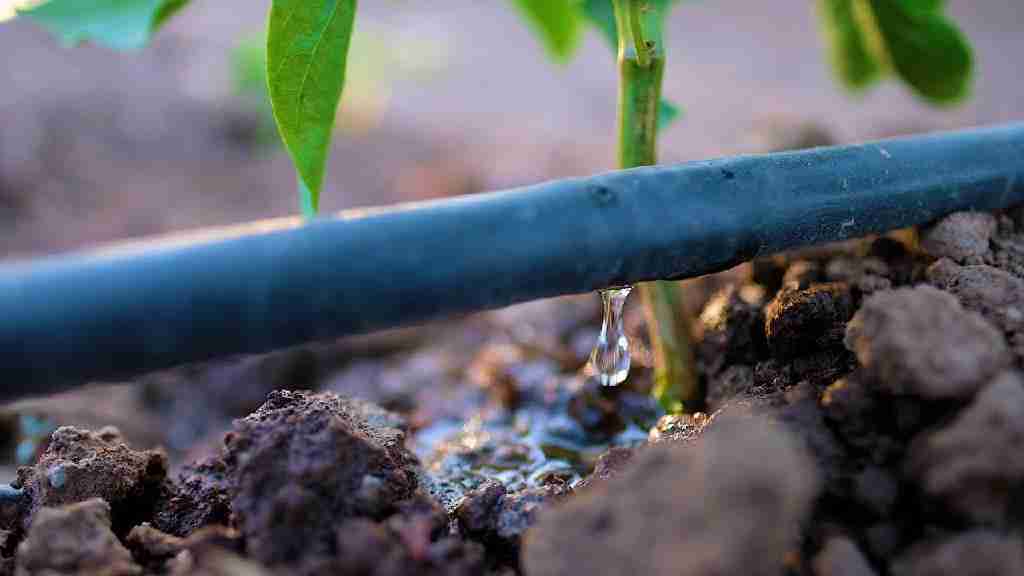 7 Técnicas de Irrigação para Melhorar sua Produção Agrícola