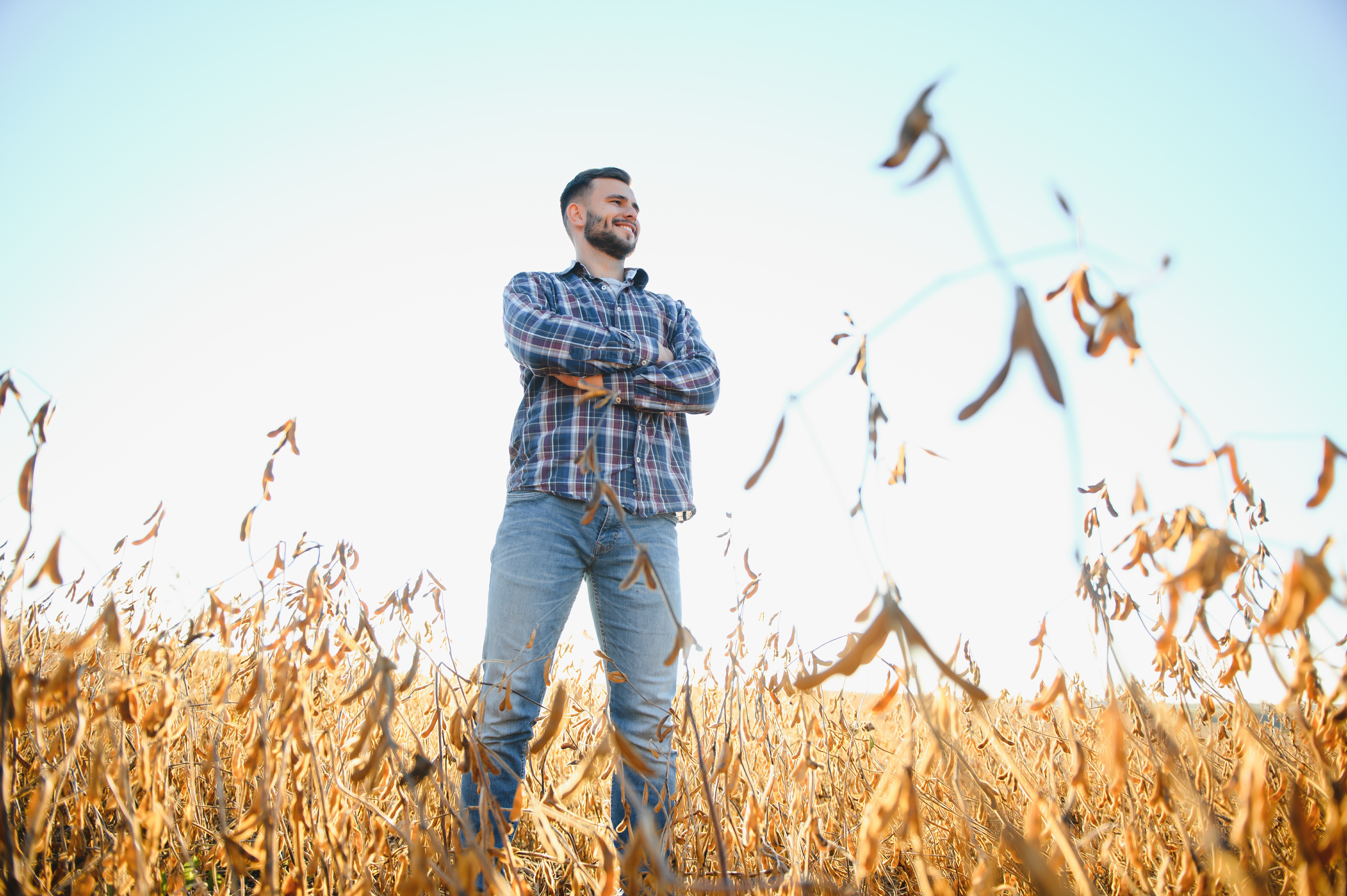 Agronomia EAD: Vale a Pena? O Que as Empresas Acham