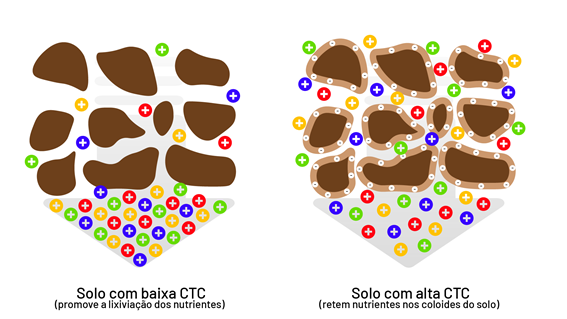A importância do equilíbrio entre cálcio, magnésio e potássio na CTC do solo