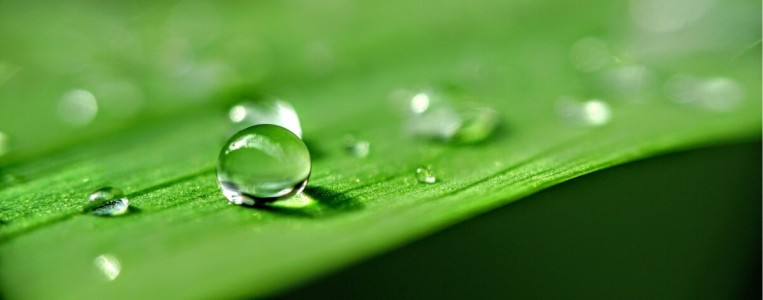 Como Escolher o Adjuvante Ideal na Pulverização Agrícola