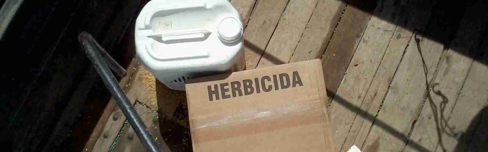 Mecanismo de Ação: Inibidores da Enzima Protoporfirinogênio Oxidase (PROTOX)