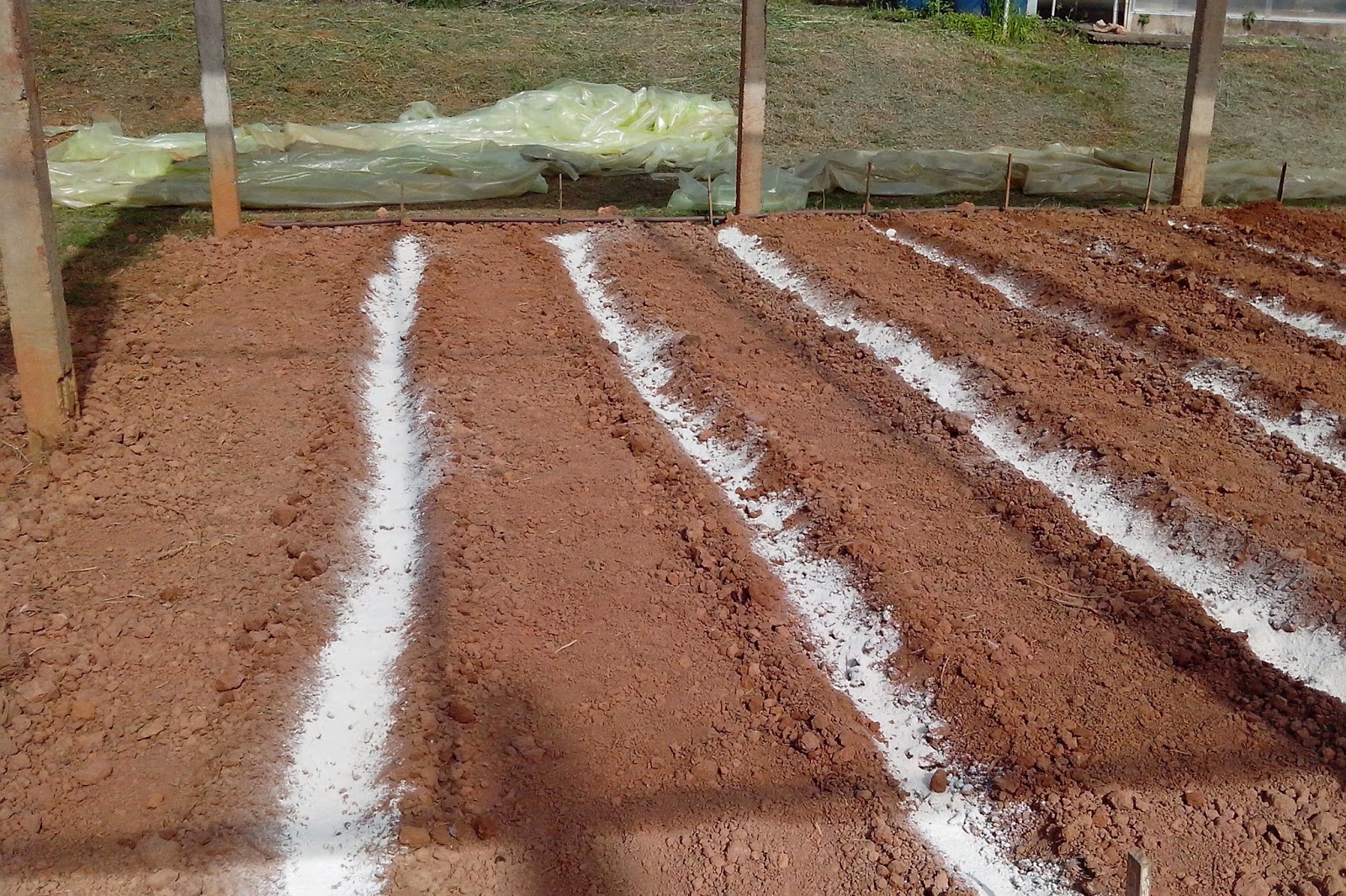 Calagem em Covas e Sulcos: Guia Prático para Produtores Rurais