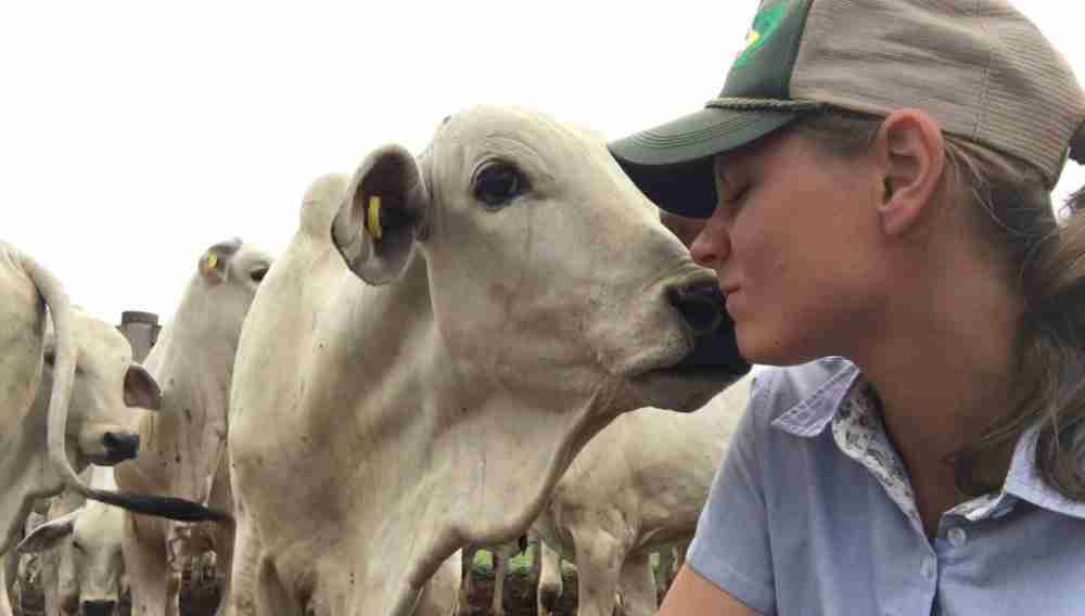 Conceitos de Bem-estar Animal