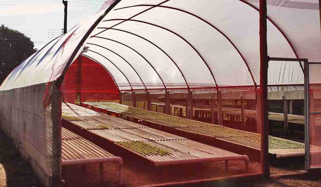 Materiais Utilizados e Tipos de Construção de Estufas para Hidroponia