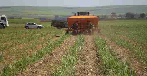 Recomendação de Adubação da Cana-de-açúcar